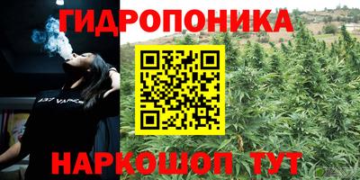 соль ск Будённовск