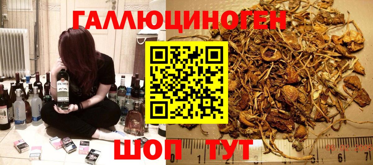 как найти   Псилоцибиновые грибы мухоморы  Вход с VPN  Озёрск 